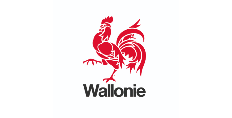 wallonie v